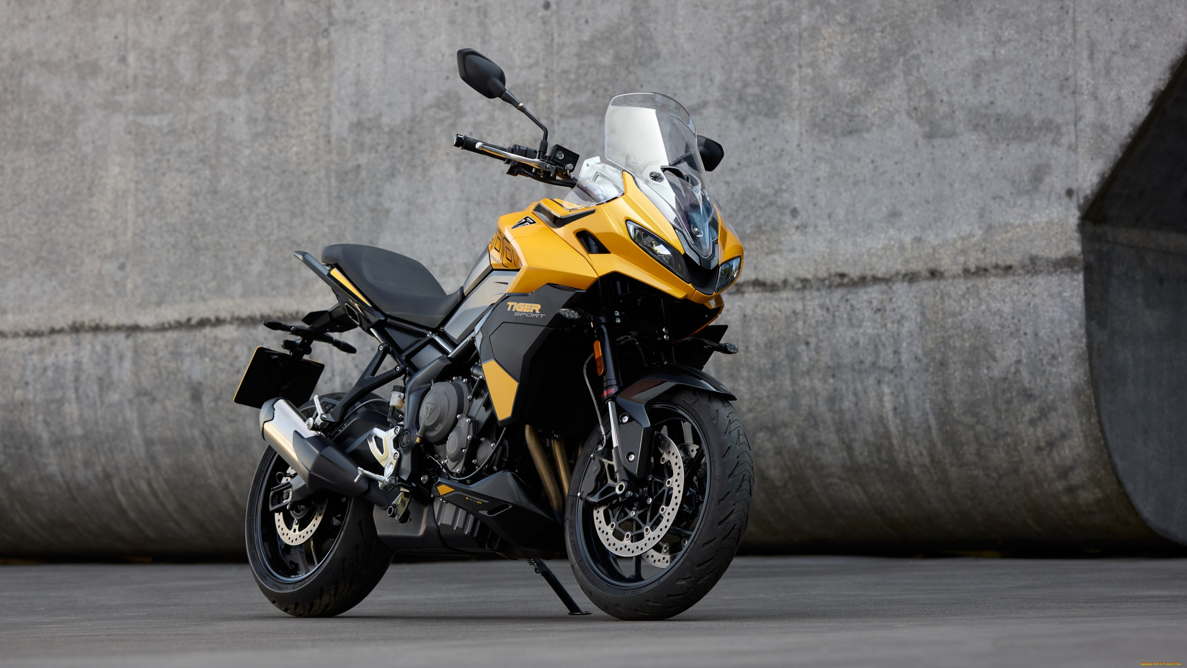 , triumph, , , , tiger, sport, 800, 2025
